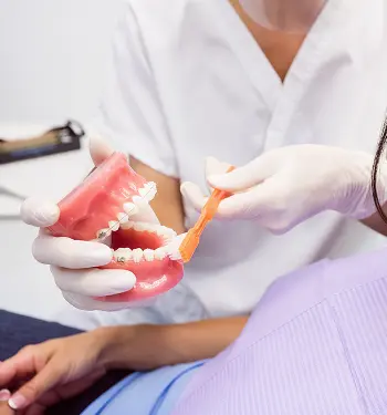 Periodontists