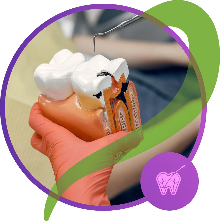 endodontists